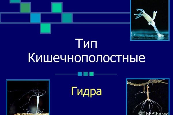 Что такое кракен сайт в россии