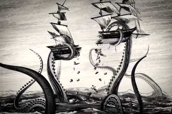 Kraken 20at net