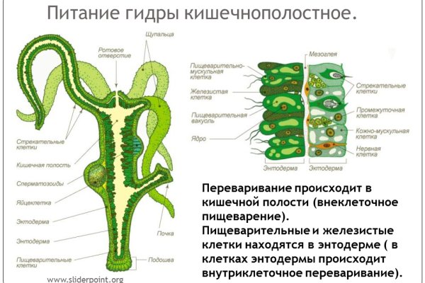 Кракен сегодня сайт зеркало
