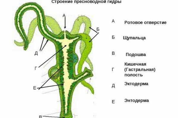 Кракен сайт закладок